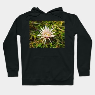 Mountain flower Hoodie